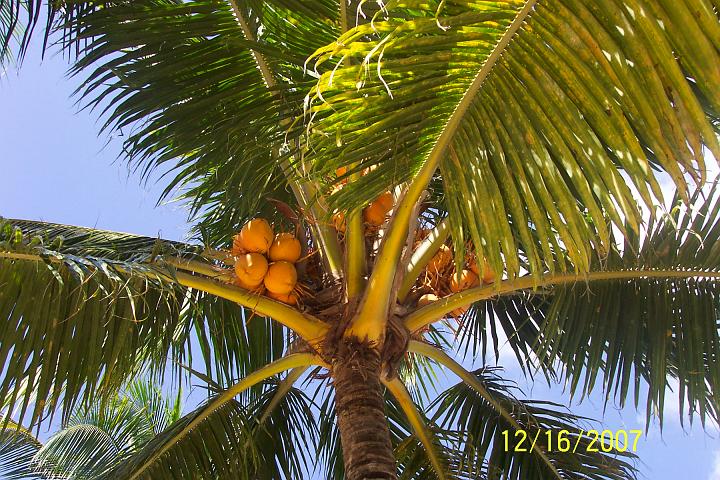 Cancun 112.jpg